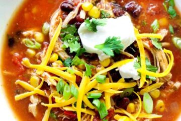 Slow Cooker Chicken Enchilada Soup 1 Slow Cooker Chicken Enchilada Soup