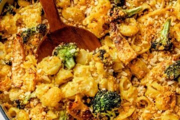 Mac and Cheese with Chicken and Broccoli 5 Chicken Divan Mac and Cheese everydaydeliciouskitchen.com 1