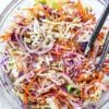 Vinegar Coleslaw everydaydeliciouskitchen.com 013 1024x1536 1