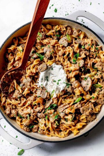 Hamburger Stroganoff everydaydelisouskitchen.com 34 728x1092 1